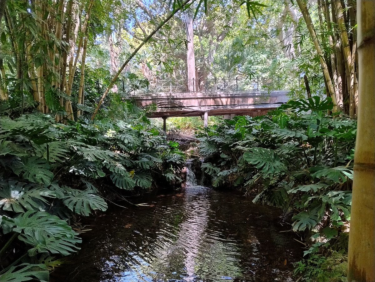 Jardín Botánico La Concepción Málaga tweet media