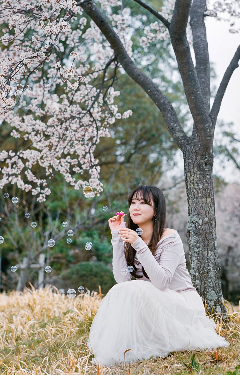 dxe1005's tweet image. しゃぼん玉

Nikon F 
NIKKOR-H Auto 85mm f1.8
Kodak EKTAR 100

#nikon
#nikonf
#kodak
#フィルムカメラ