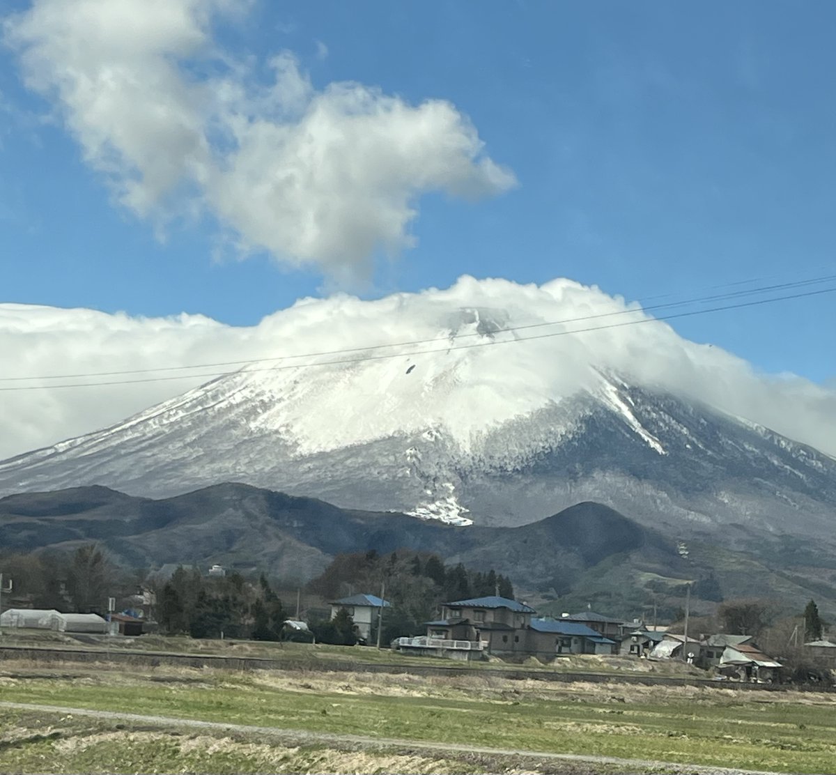 ヒゲピヨ tweet media