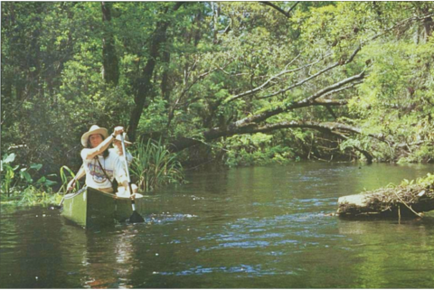 MyFWC's tweet photo. This season brings wonderful opportunities to create timeless outdoor memories in Florida, with a front row seat to golden hours and scenic landscapes. ☀️

Whether you prefer paddling a canoe or traversing the wilderness on a bike, there are countless ways to adventure outside this season. These activities are just a few ways Floridians have connected with their natural environments for decades.

@America250FL #OldFlorida #FLHeritage