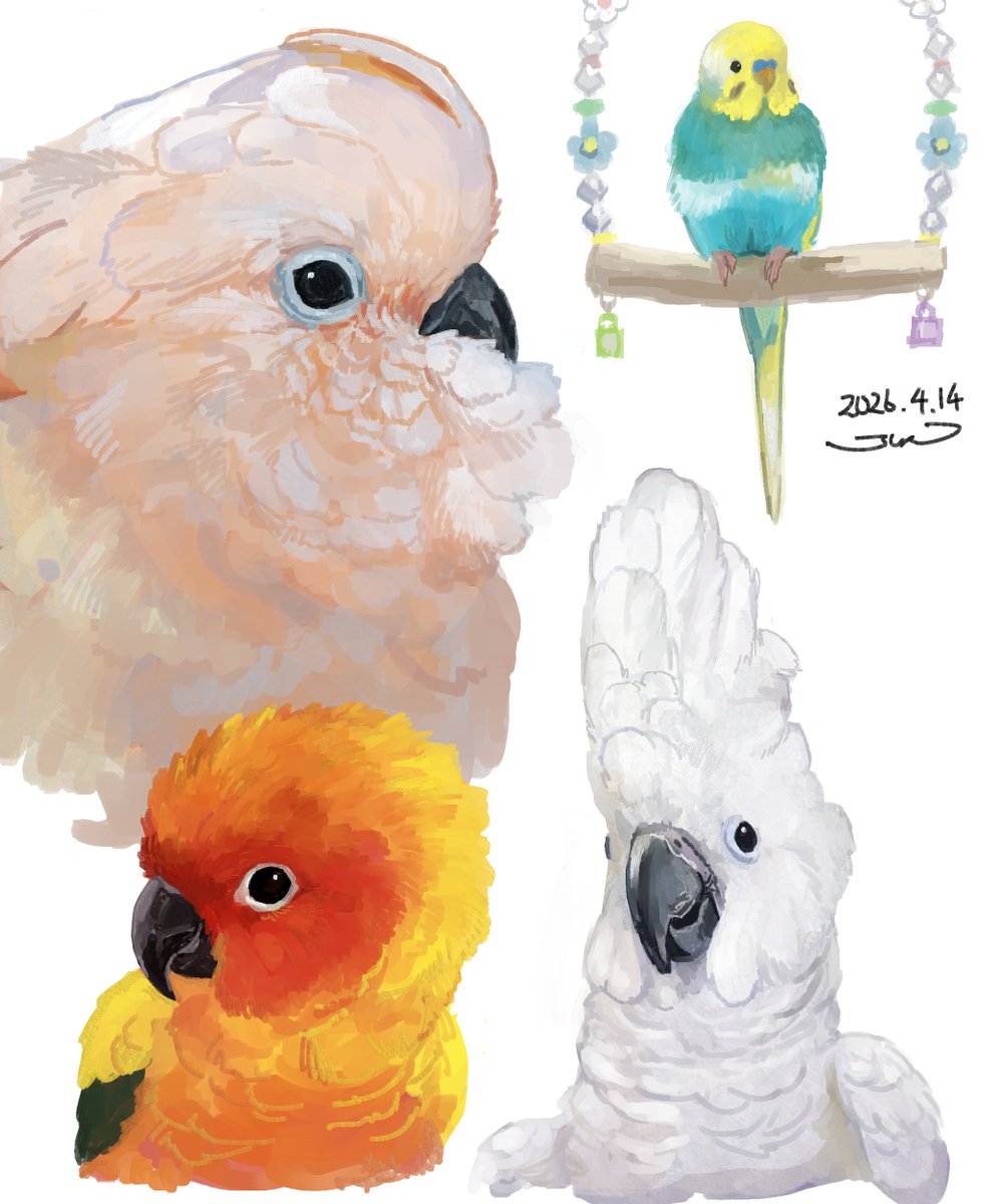 とりのすジュン tweet media