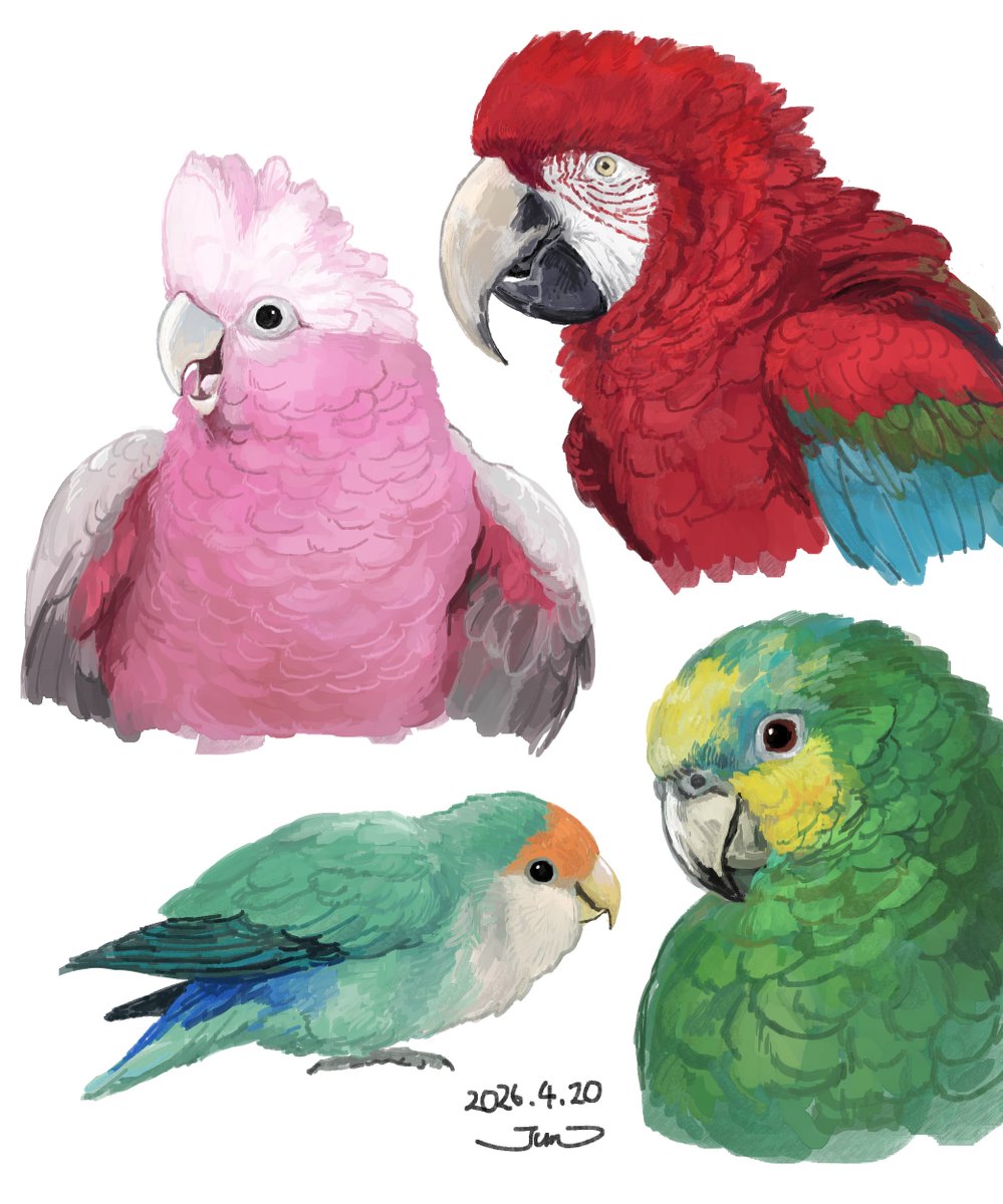 とりのすジュン tweet media