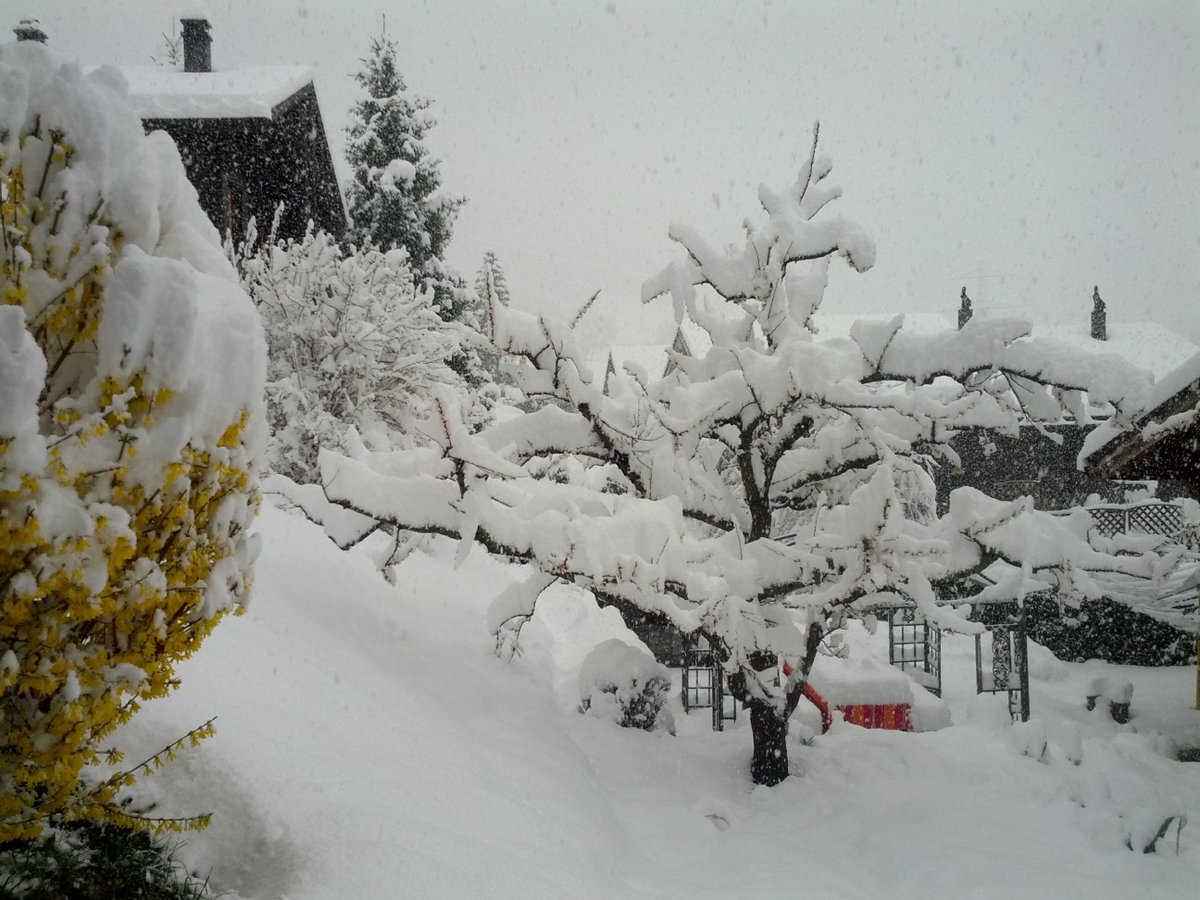 Johanns (Alpen)weer @johannsalpenweer.bsky.social tweet media