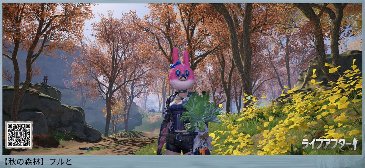 フルと@おはようさぎ🐰 tweet media