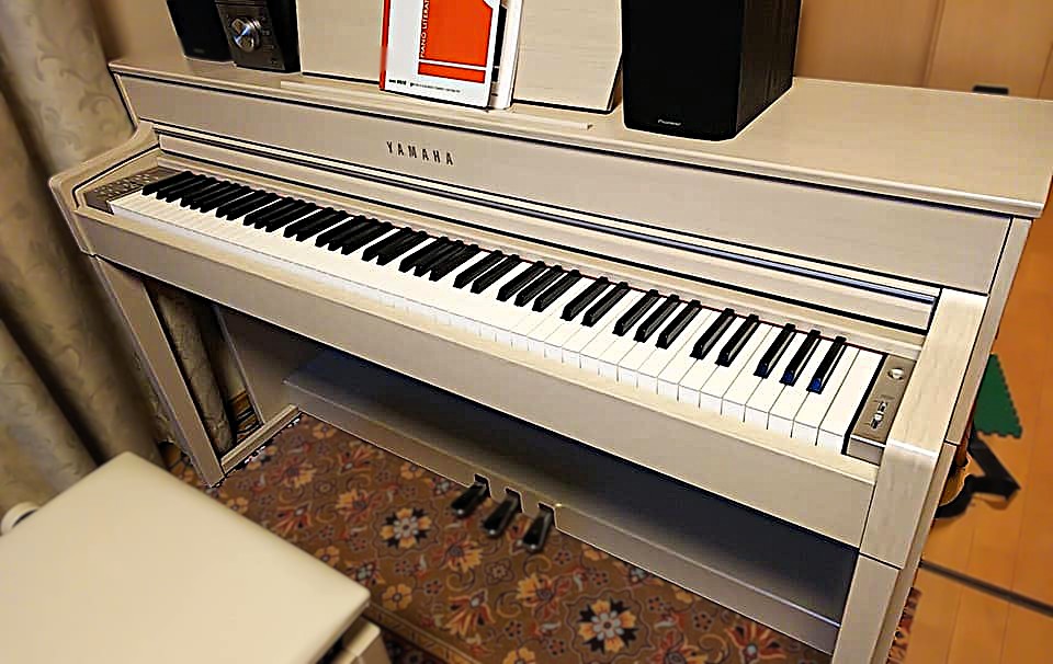 Mappy@Next Live 5/23(土) No More Police @crop tweet media