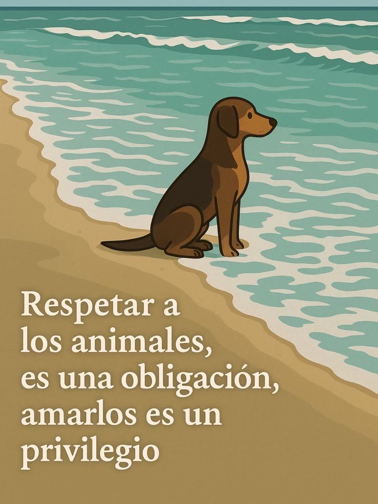 rey_latino33087's tweet photo. https://t.co/WdC7rK05zu