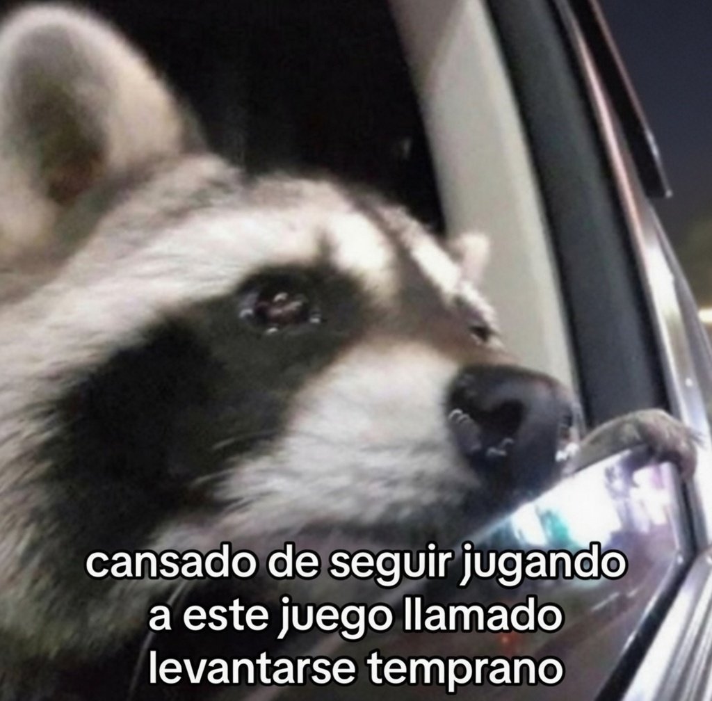 ᗩཞ༒αηα ⏤͟͟͞͞★ ᗷOCCΔRDO ™® (@nynaboccardo) on Twitter photo 