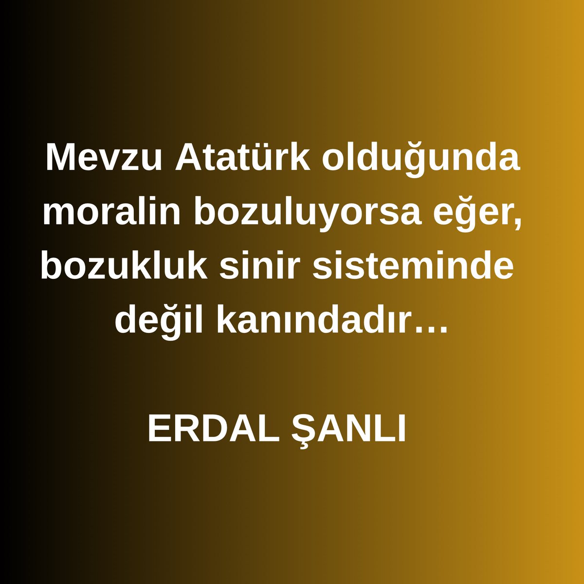 Erdal ŞANLI tweet media