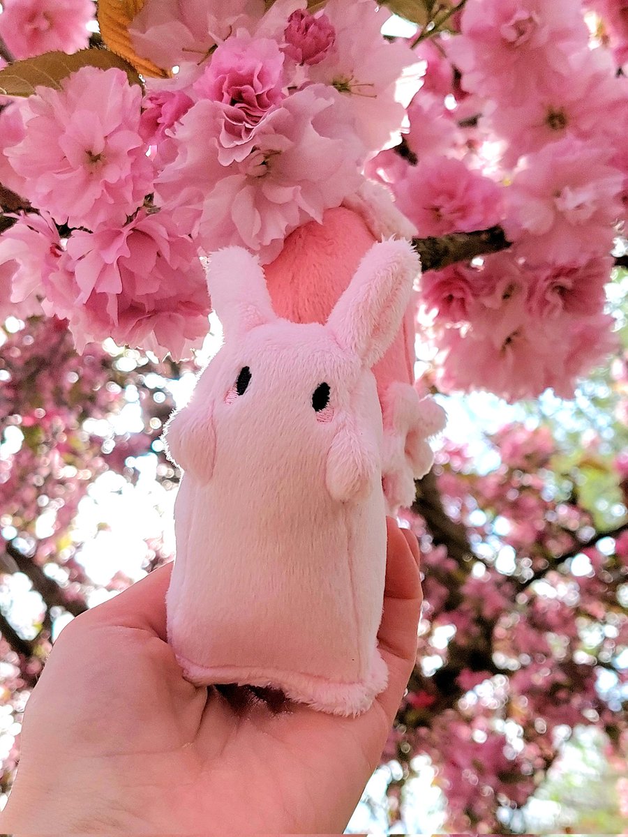 Sophie's Plushies 🐝 tweet media