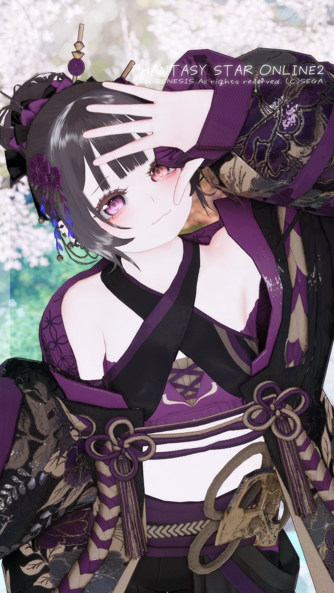 なんとなくの和
#PSO2NGS_SS