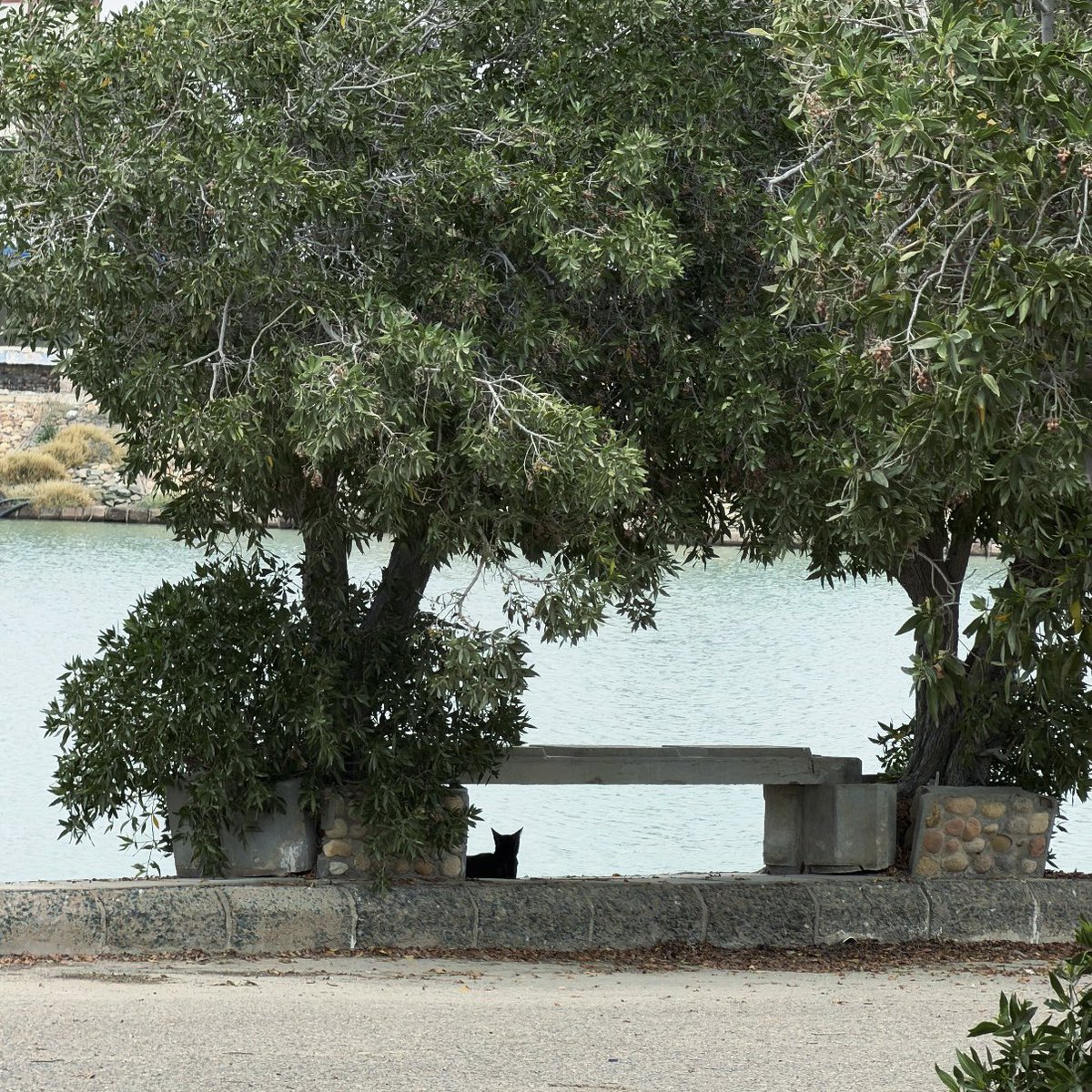 Who am I? tweet media