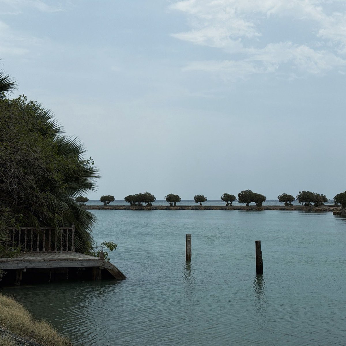 Who am I? tweet media