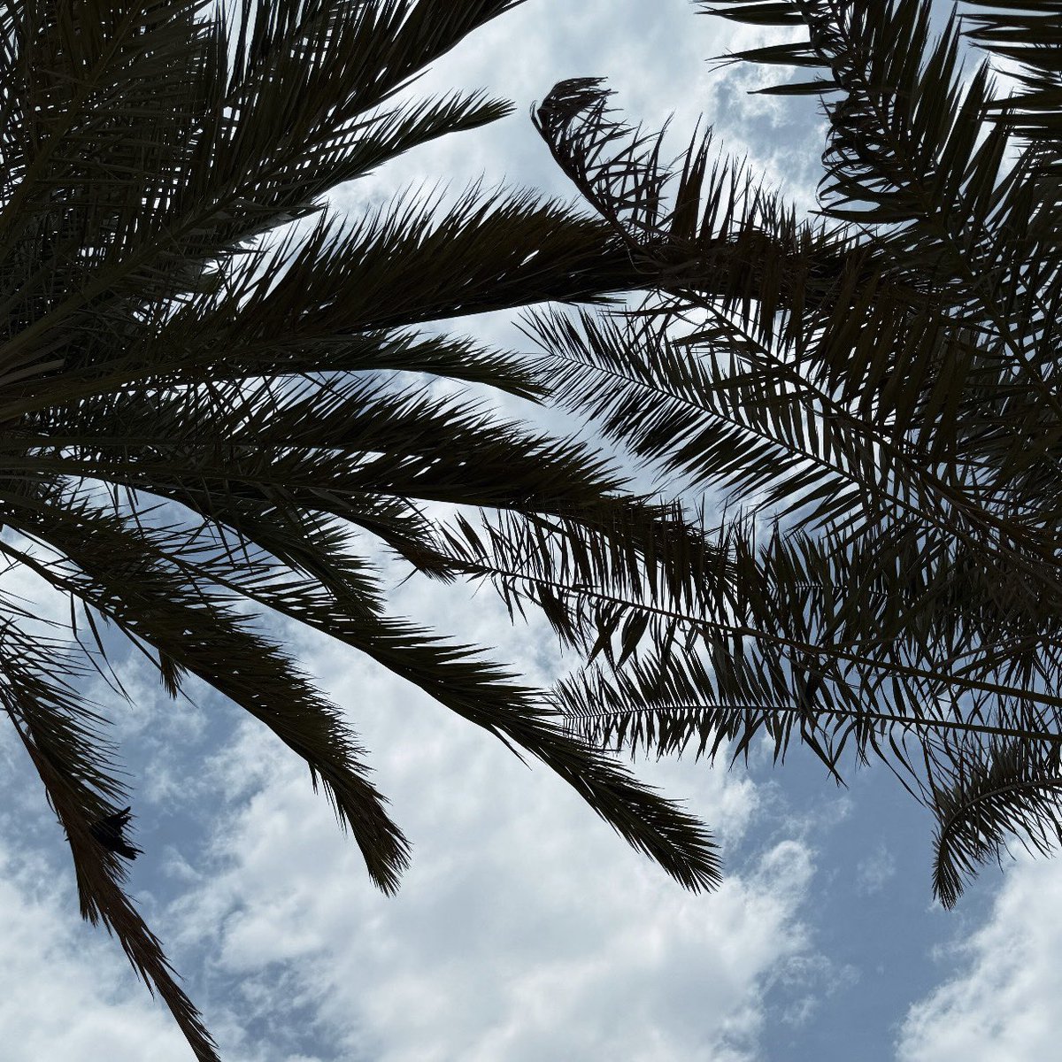 Who am I? tweet media