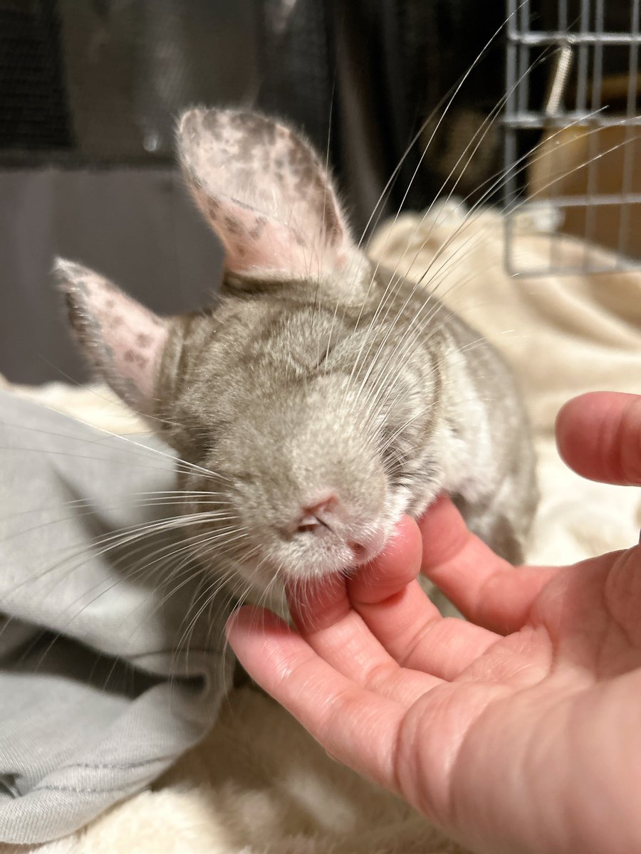 気持ちいね〜