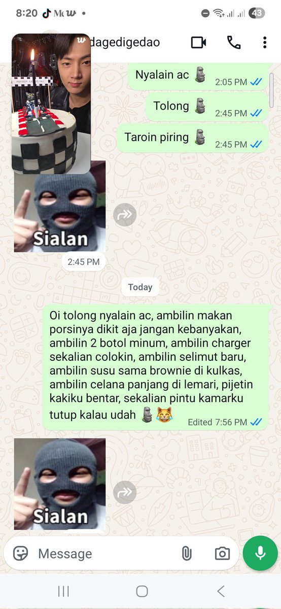 Seseru itu jir punya adek 😹 semua orang harus punya adek 😹