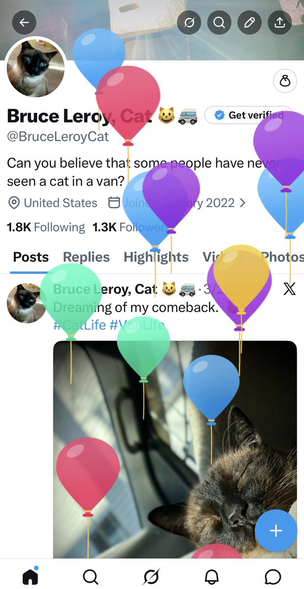 Bruce Leroy, Cat 😺🚐 tweet media