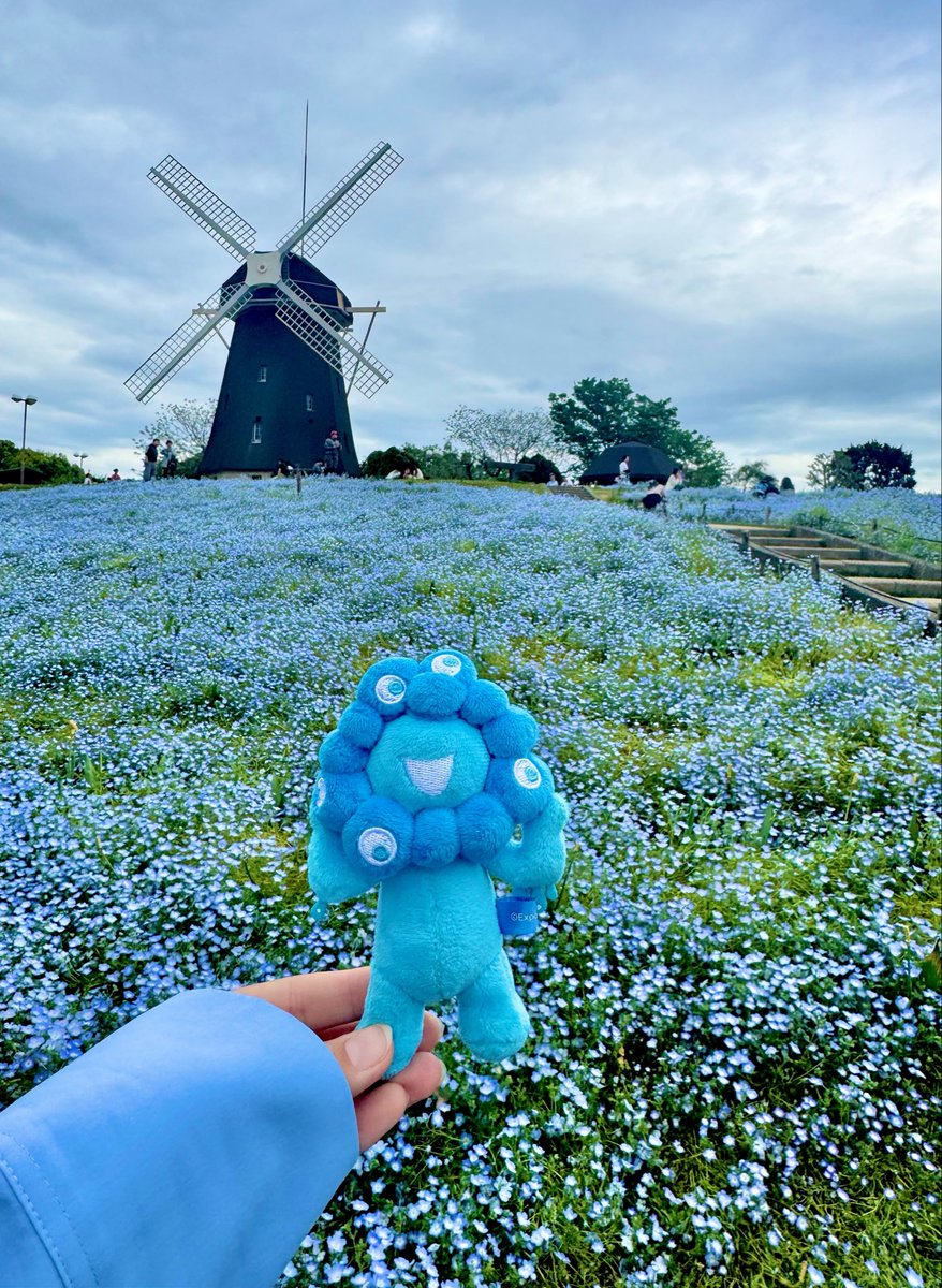 サリー💙❤️expo2025🚩 tweet media