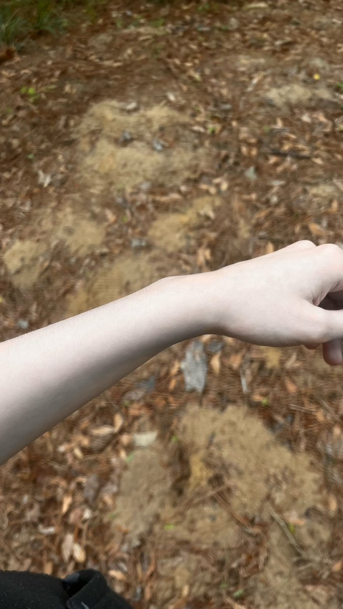 Amo of shedtwt tweet media