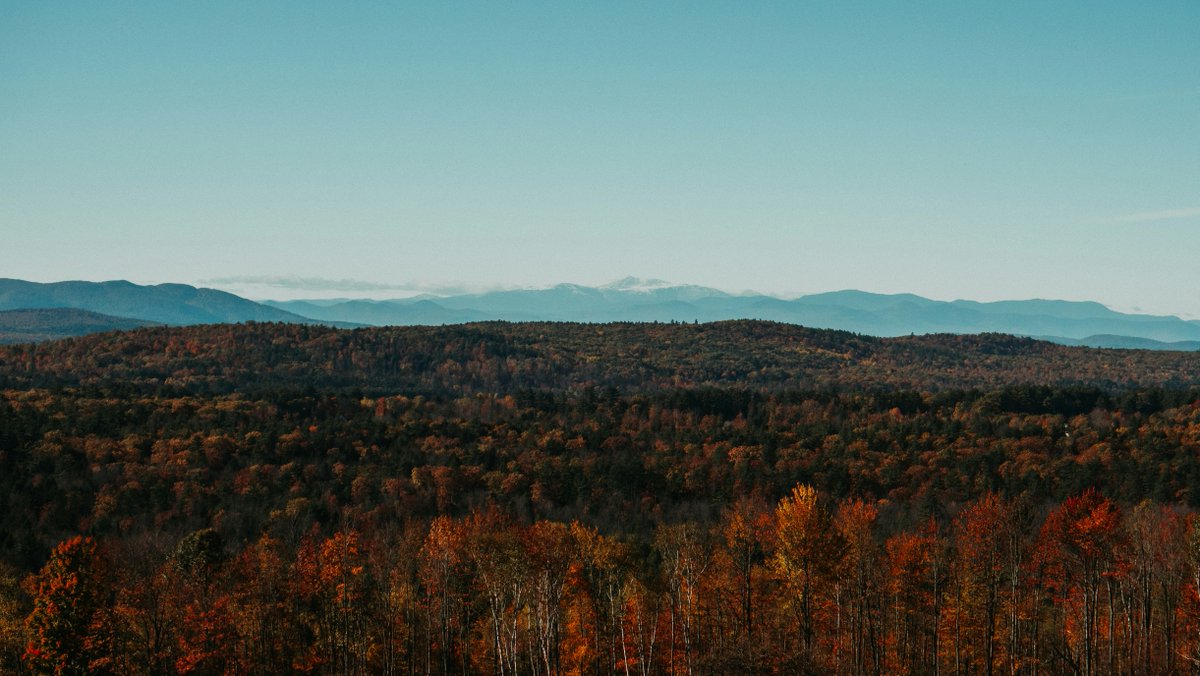 Trading traffic for trailheads. 🌲✨

Working remotely from Maine today. The fresh air and quiet are great for deep focus on new web builds.

Who else prefers a 'WFH' view with a little more nature?

#Maine #RemoteWork #WebDevLife