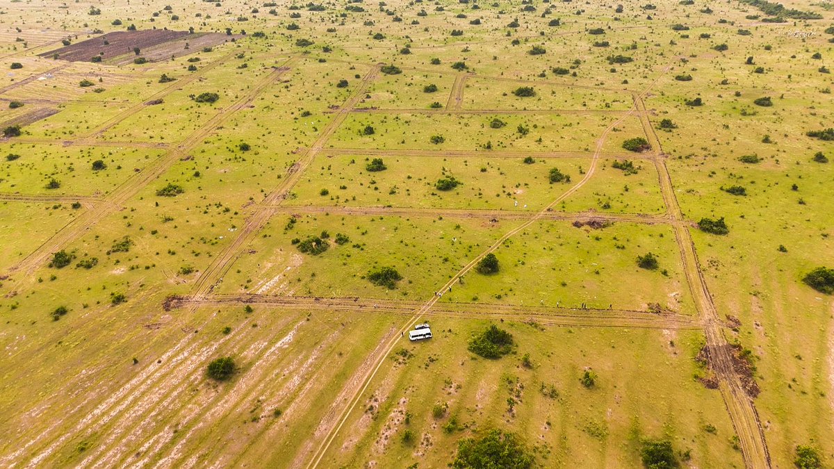 OG The Builder 🇬🇭 tweet media