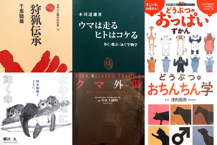 Sci佇 Bookends 📚 tweet media