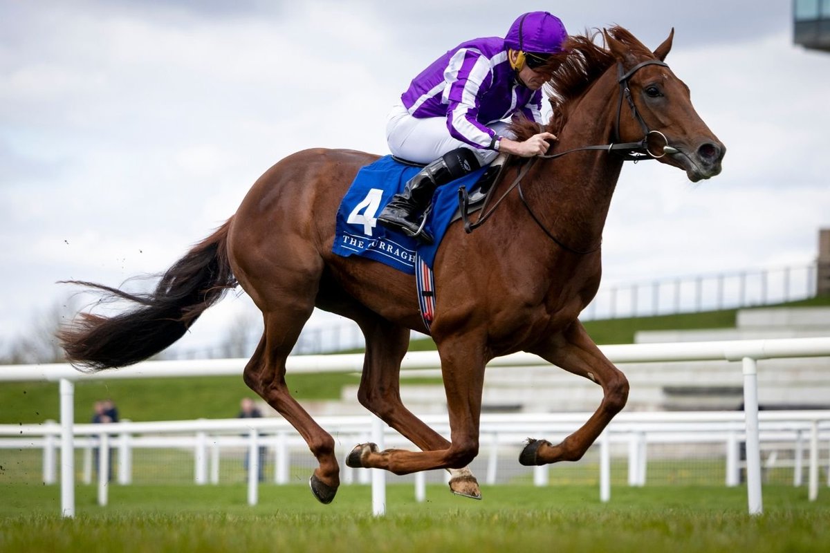 AIDANOBRIENFANSITE tweet media