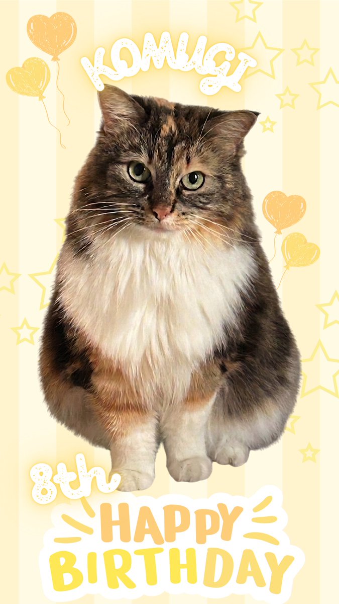 桃ねねこ🎀🍑🐈@固定拡散希望です❣️ tweet media