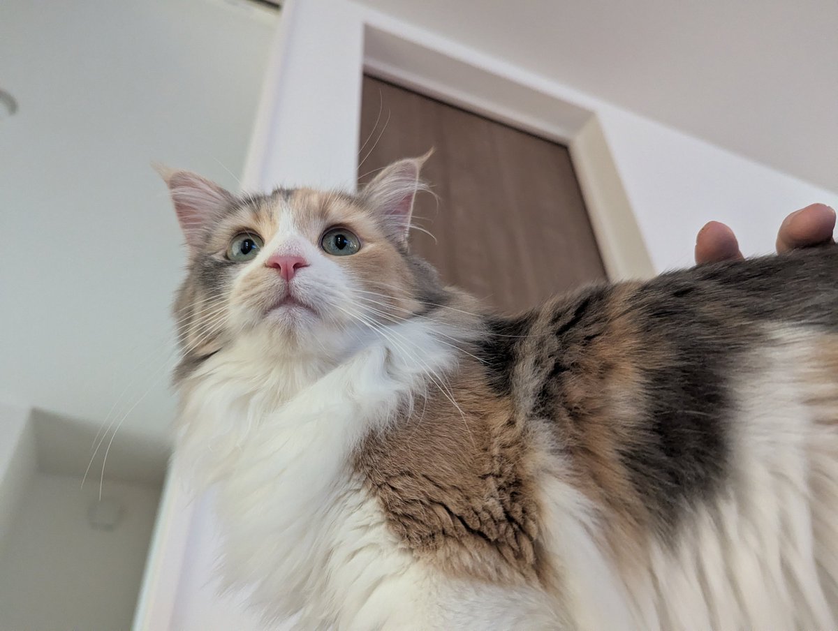 iMSさん tweet media