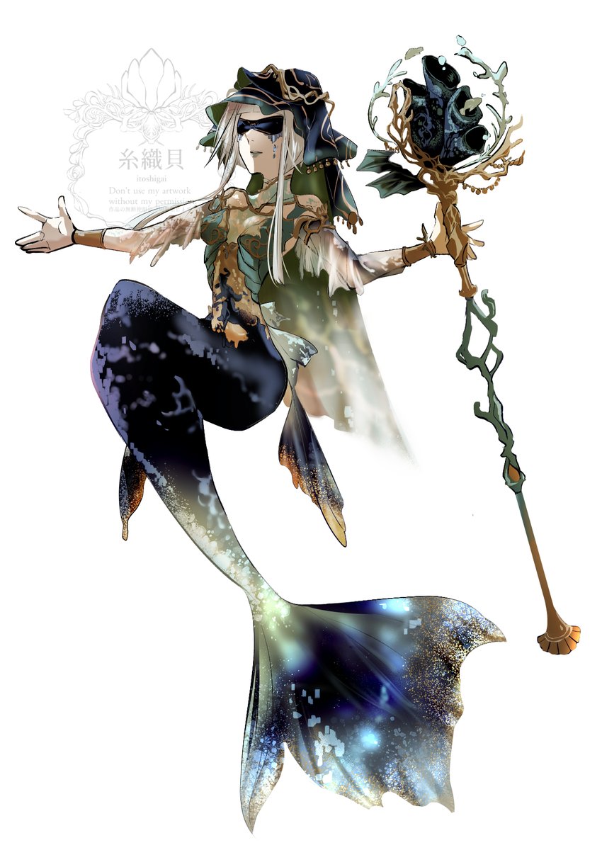 糸織貝 tweet media