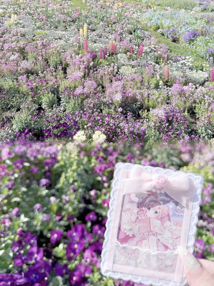 🐩◝✩꙳ tweet media