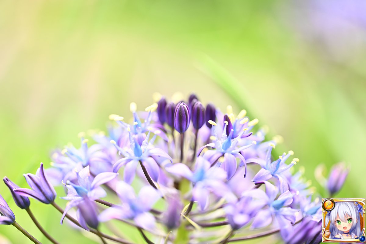 esuesuX1 tweet media