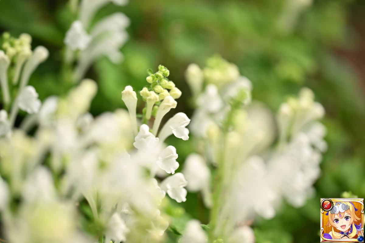 esuesuX1 tweet media