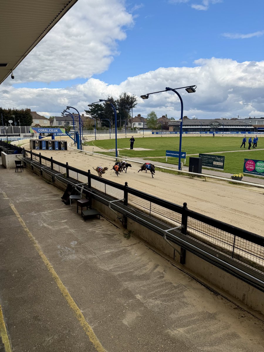 TheGreyhoundZone tweet media