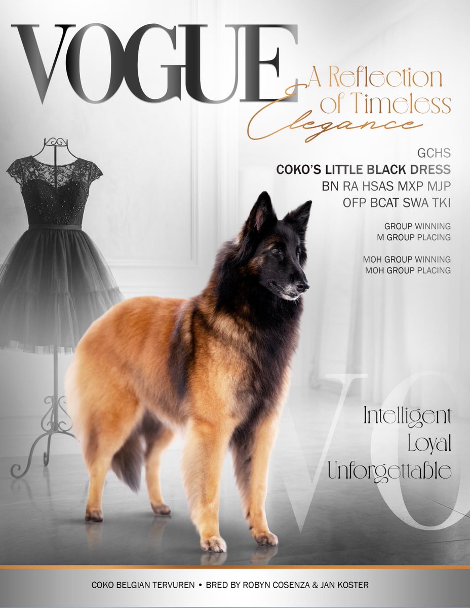 Byn13's tweet image. #Vogue and I can’t wait for @tdwpmovie !!! #lbd #belgiantervurensofinstagram #thedevilwearsprada2 #may12026