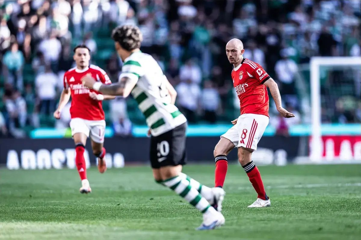 Tiago Godinho tweet media