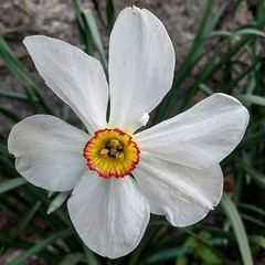 Eric Swensson tweet media