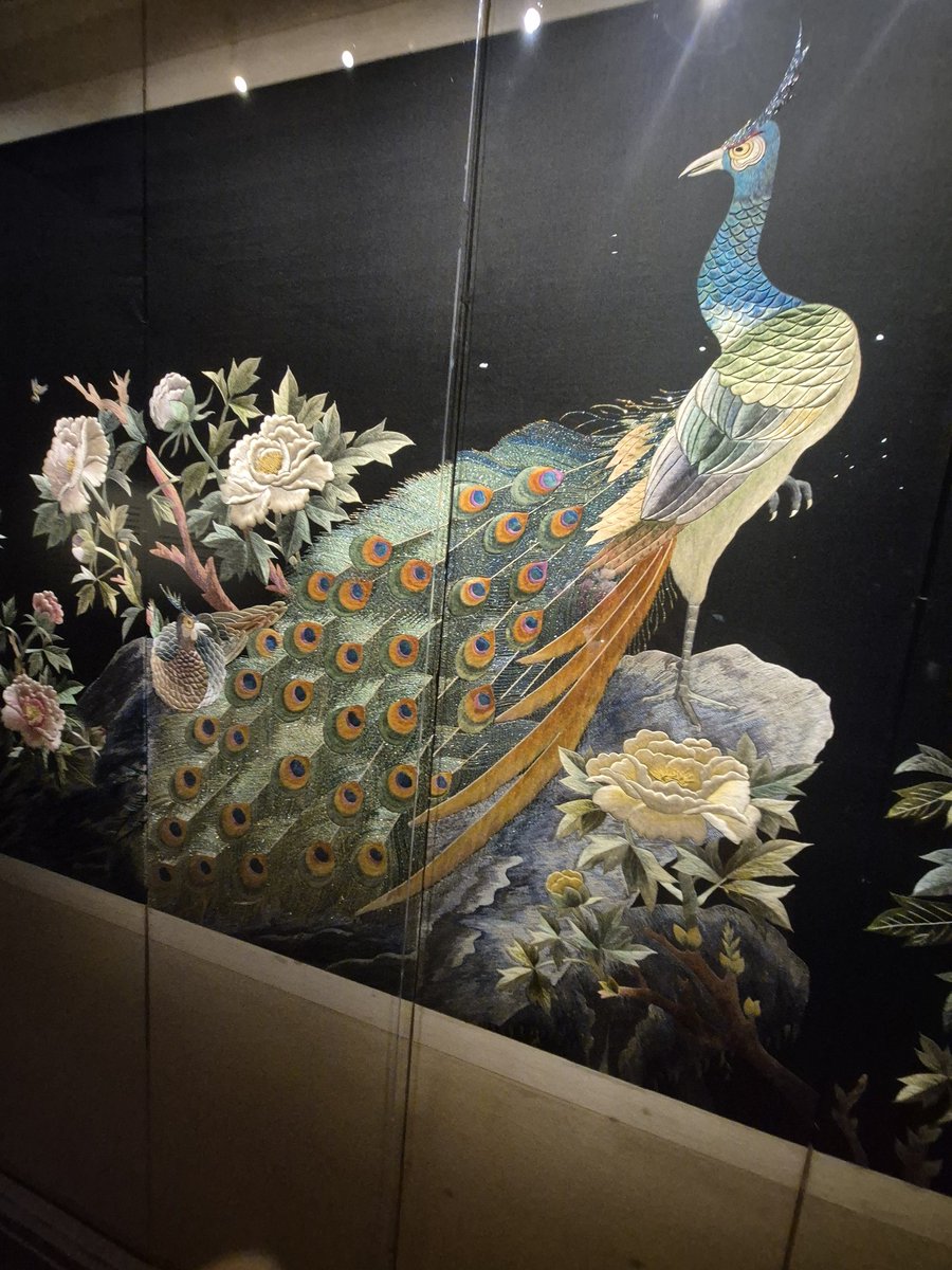 나비(디어) tweet media