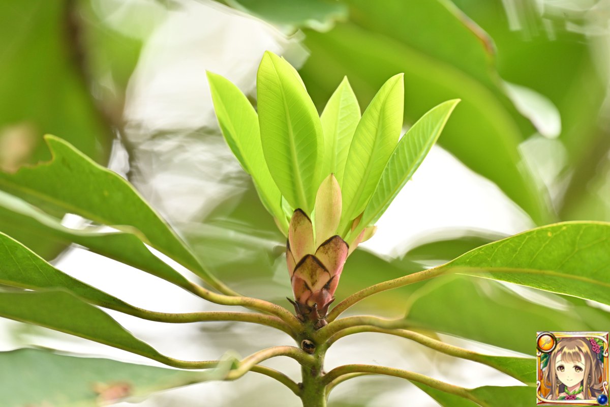 esuesuX1 tweet media