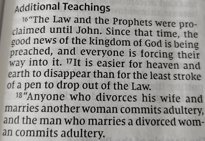 blindete tweet media