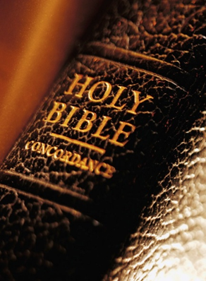 blindete tweet media