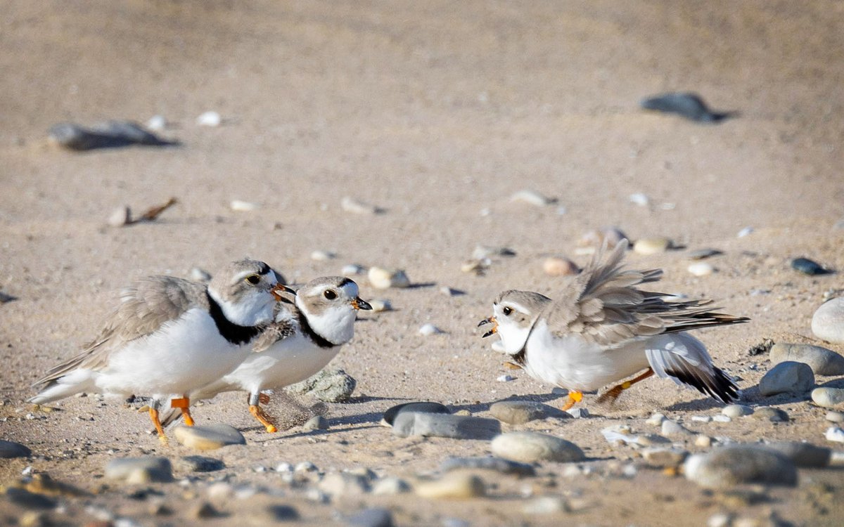 Sleeping Bear Dunes National Lakeshore tweet media