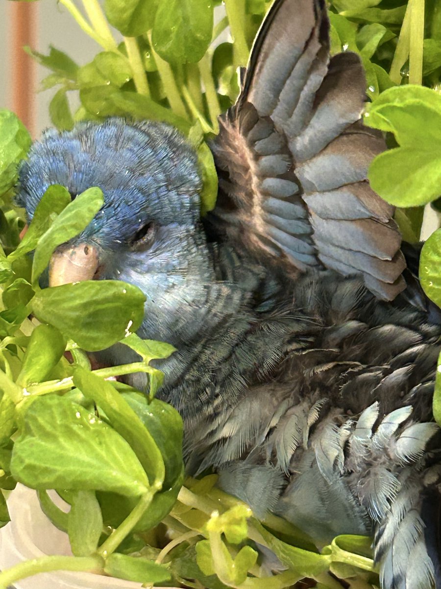 丸ちゃん tweet media