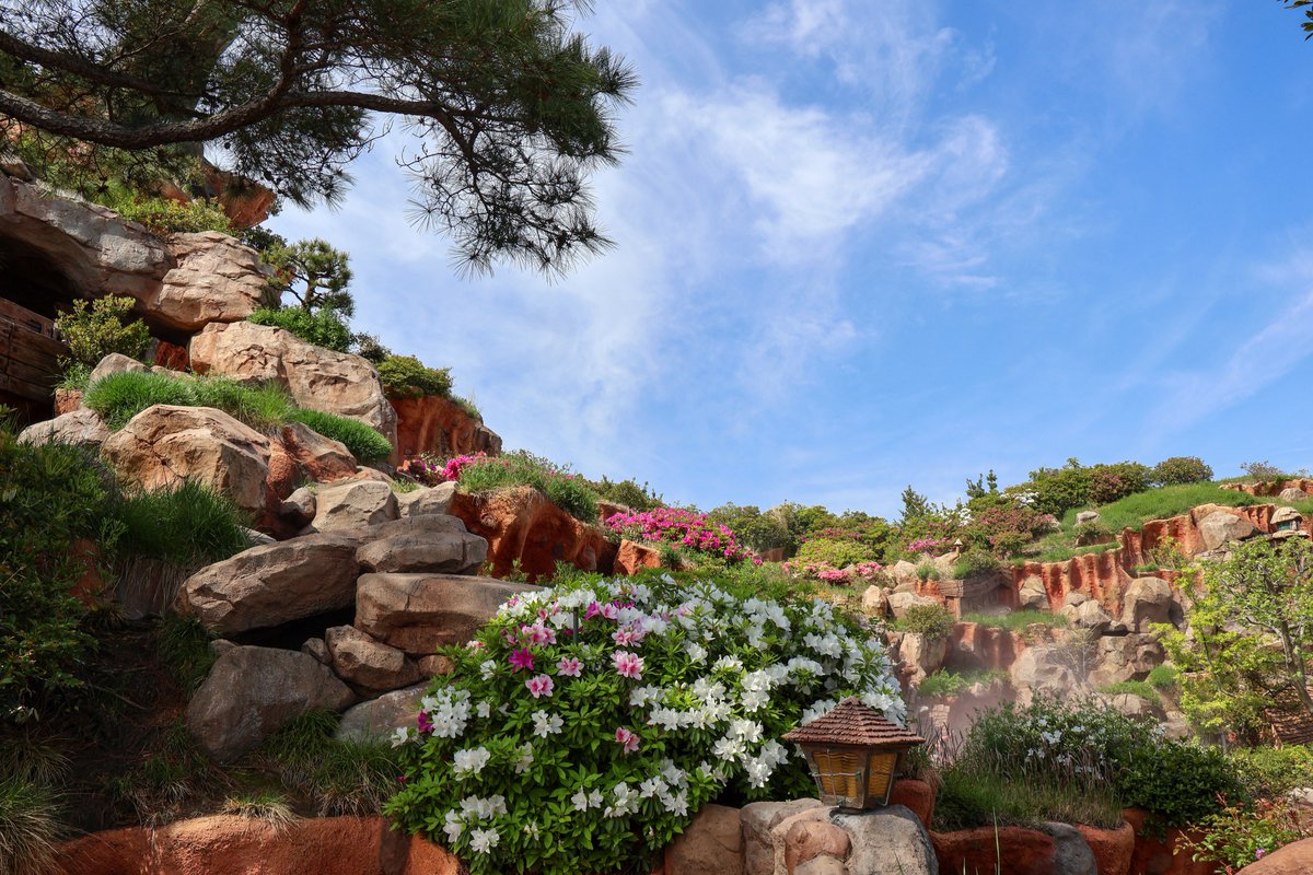 ヒューモ tweet media