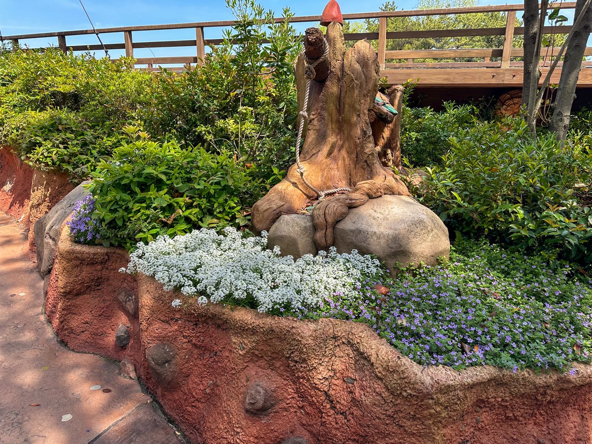 ヒューモ tweet media