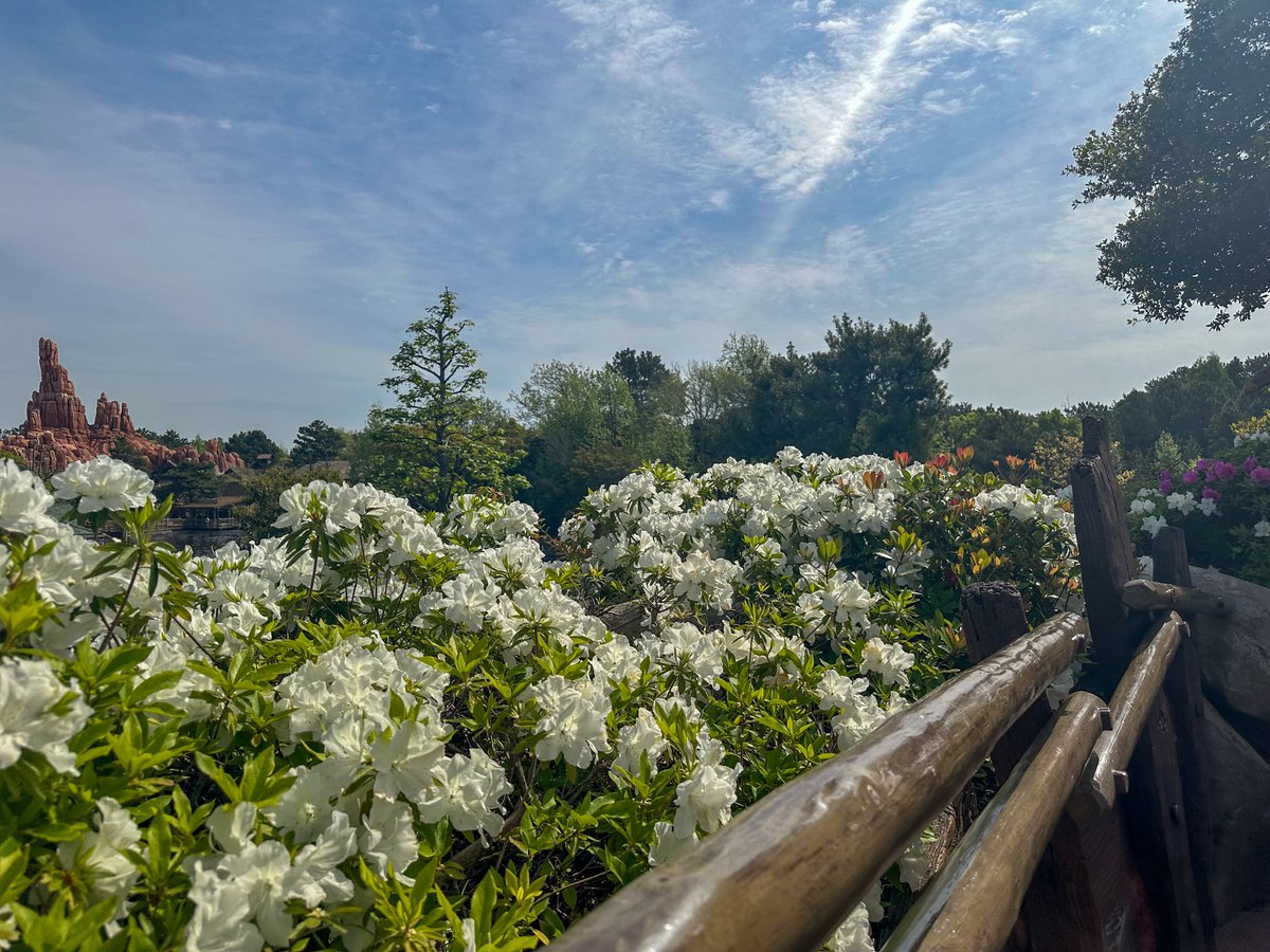 ヒューモ tweet media