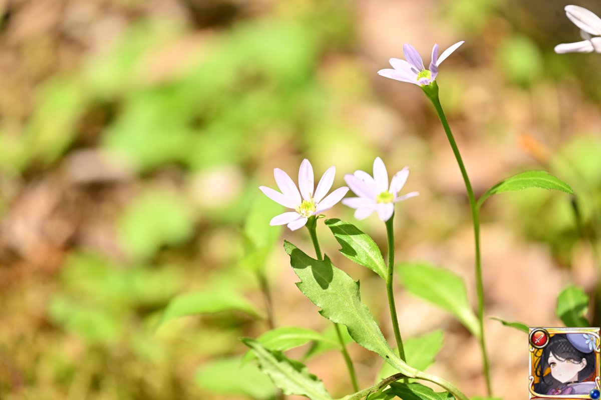 esuesuX1 tweet media