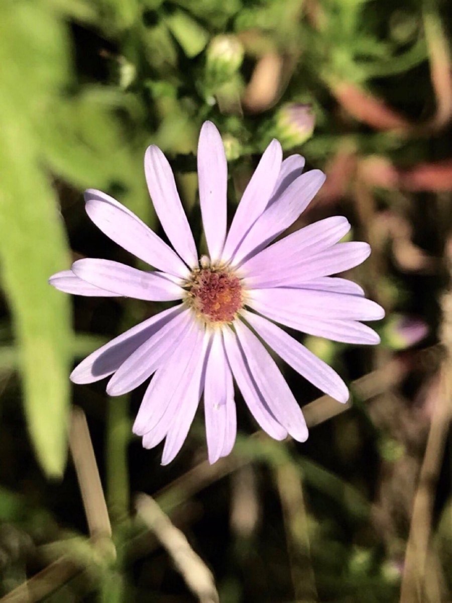 GGoodtaste's tweet image. Thomas Merton said Love is not marketing, it is a form of worship, reverence, appreciation, and gratitude . 
Are you communicating this kindness in your work? #MondayThoughts #MondayMotivation #MertonMonday