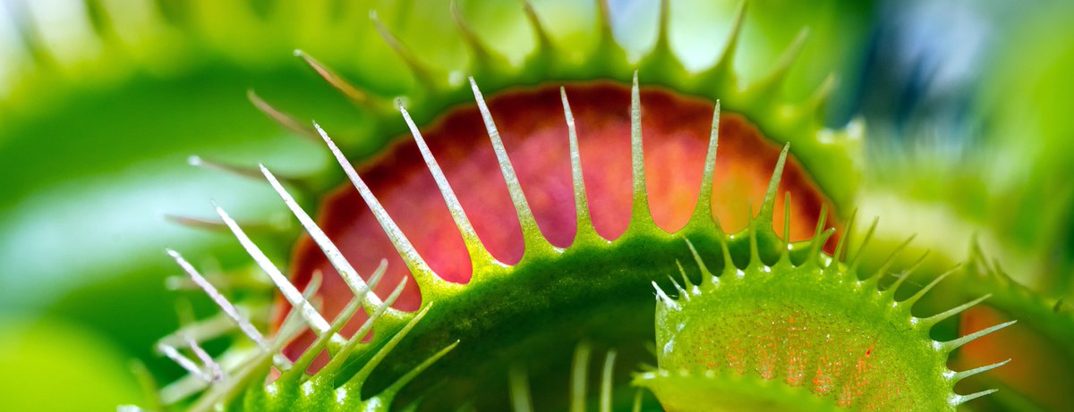 MckinleyRo89068's tweet image. Don’t Fall Into The Snares Of The Devil
Our enemy prowls around like a roaring lion seeking whom he can devour. Click on the link below to read how to guard against snares the devil has to trap you. #BibleStudy #Devotions #Psalms #Satan #worship
ramckinley.com/dont-fall-into…