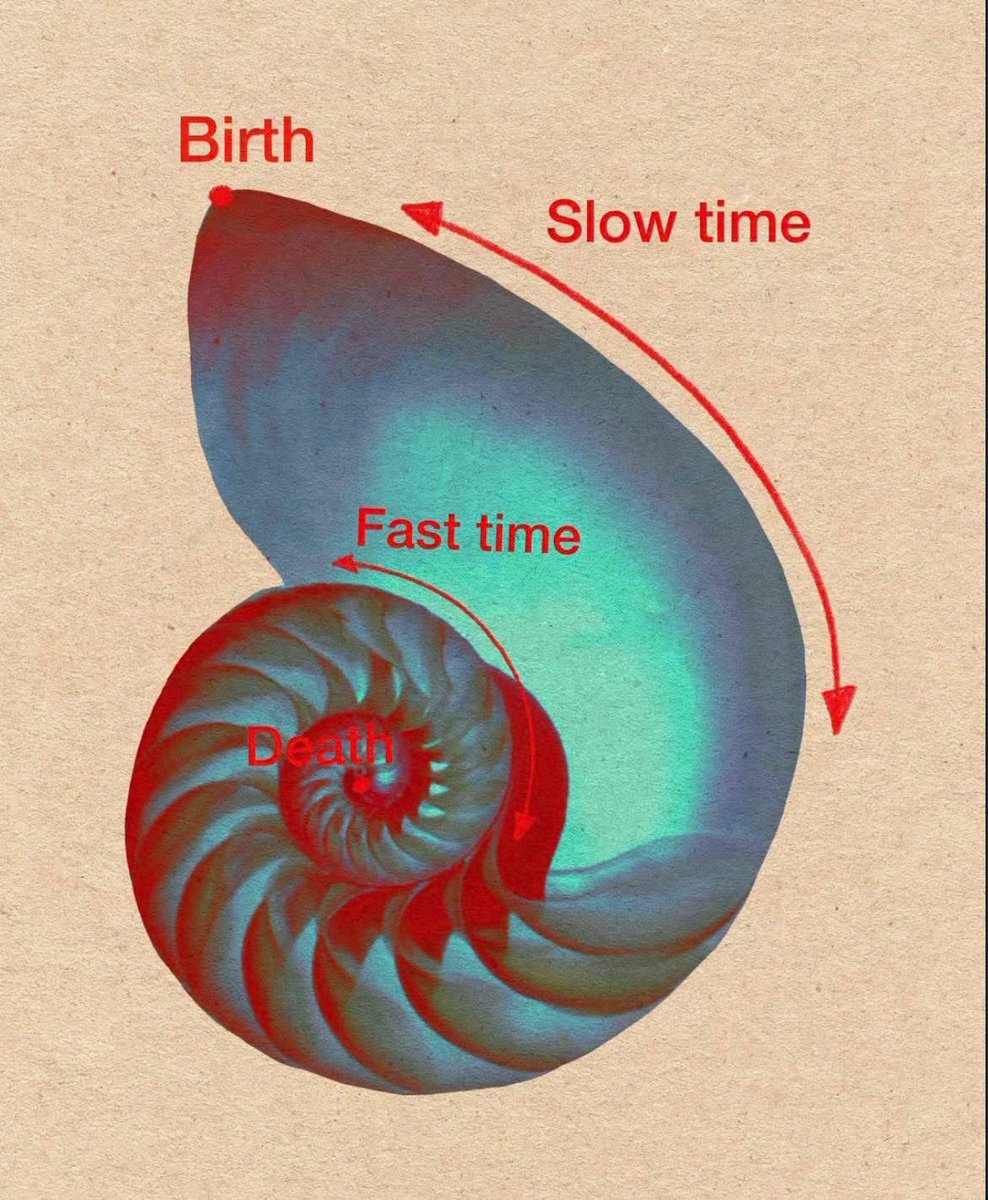 The Fourth Way tweet media