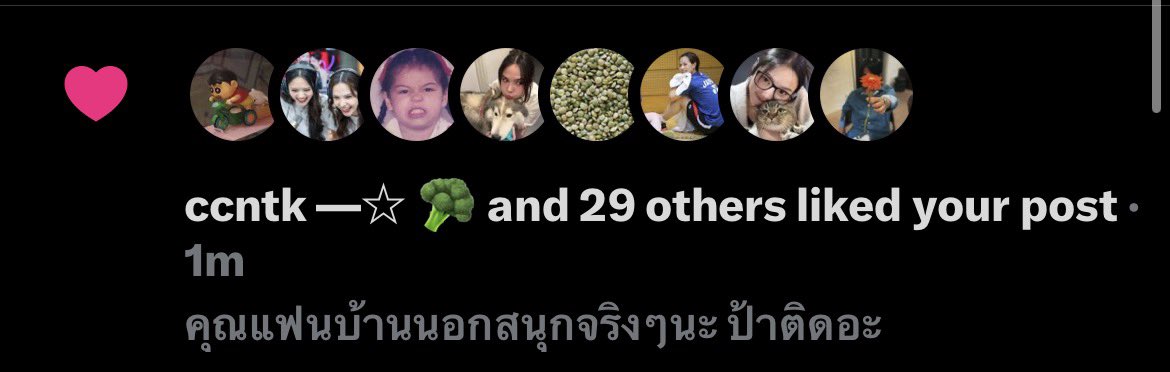 suki tweet media